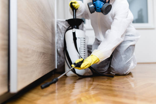 Best Local Pest Control Services  in Evergreen, MT