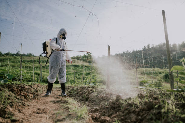 Best Affordable Exterminators  in Evergreen, MT