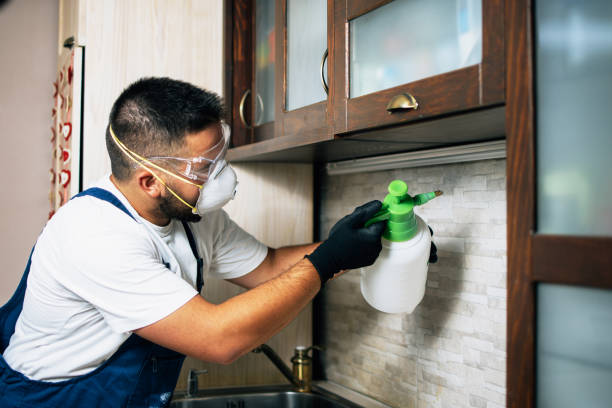 Professional Pest Control in Evergreen, MT