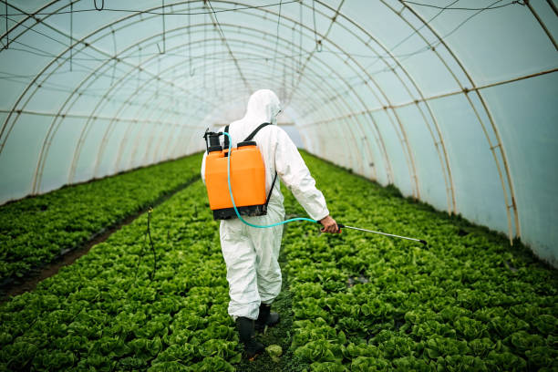 Best Affordable Pest Control Services  in Evergreen, MT