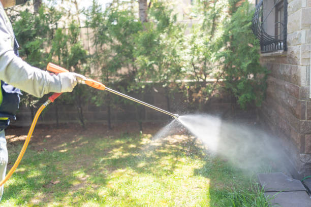 Best Bird Control  in Evergreen, MT