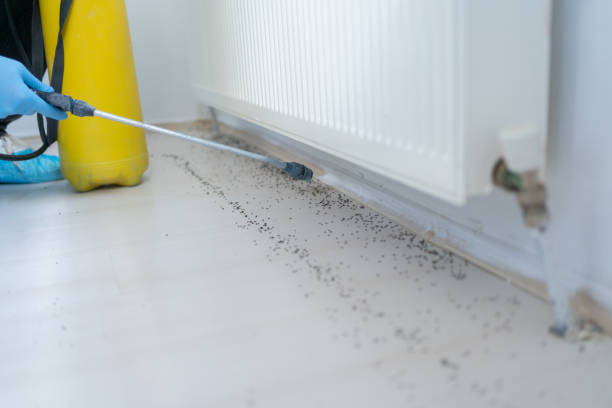 Pest Control for Restaurants in Evergreen, MT