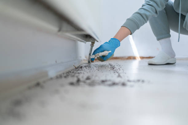  Evergreen, MT Pest Control Pros
